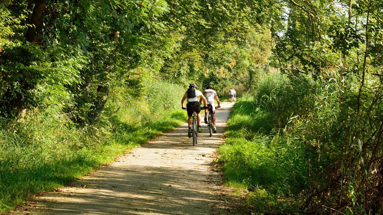 De Vrolijcke Bosmuis Bed and Breakfast Bergeijk Esterno foto